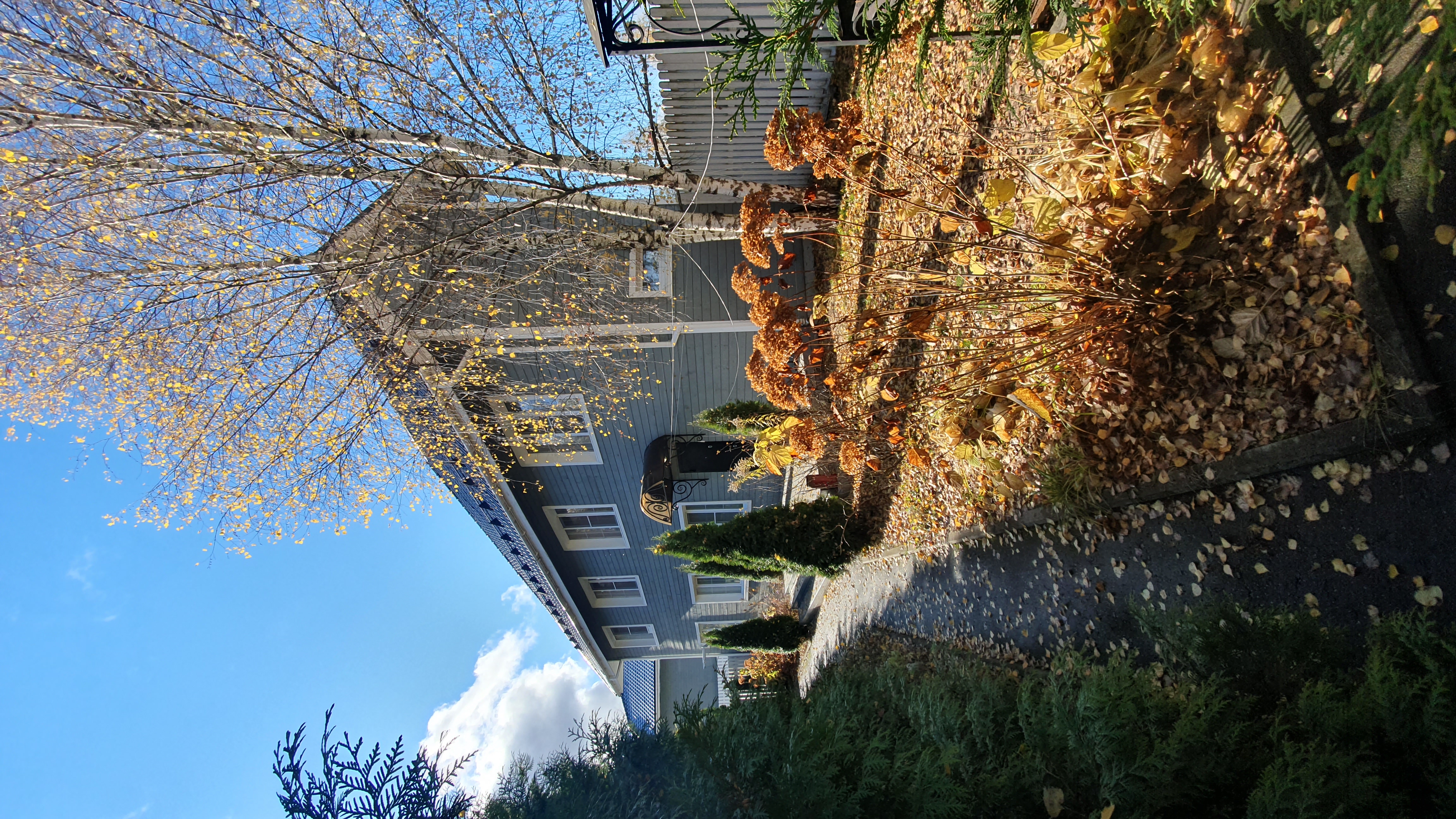 Фото Ontario Village