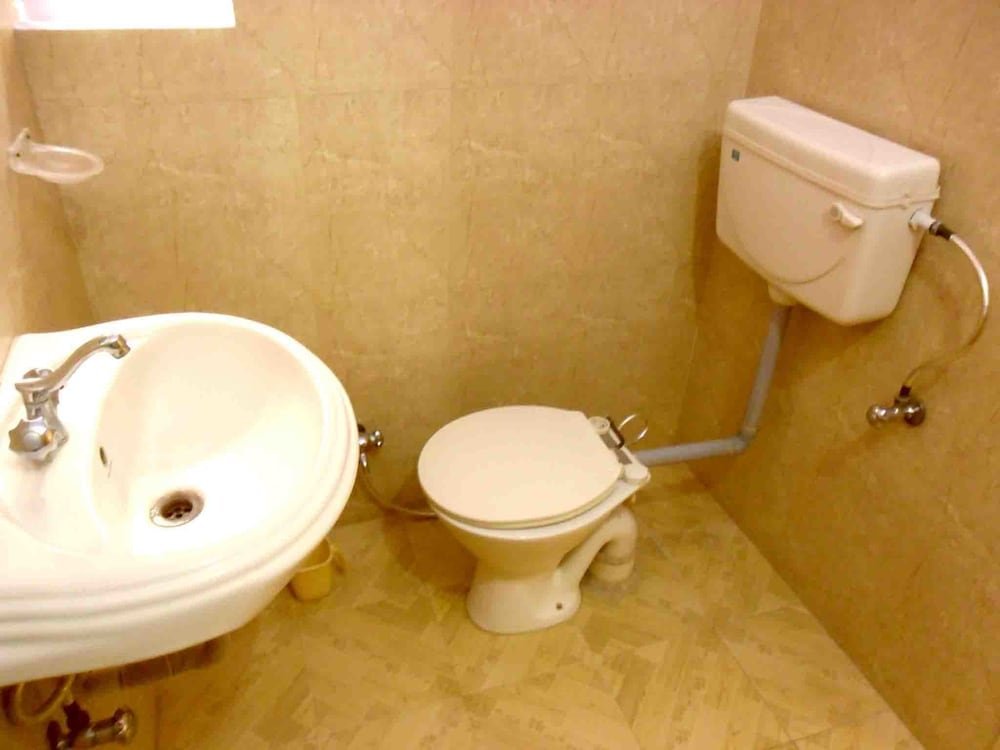 Фото Hotel Sidhartha