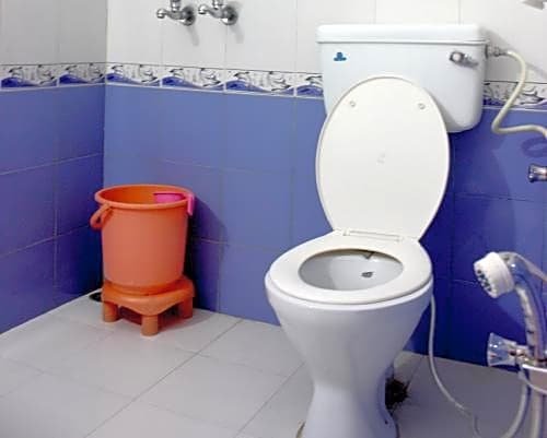 Фото Hotel Sanjay Villa