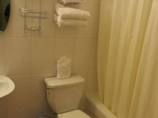 Фото Queen Bee Hotel