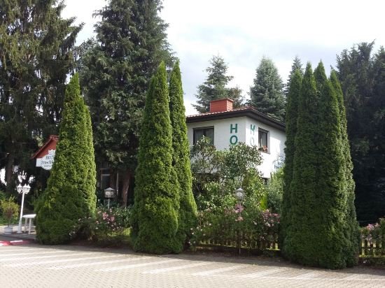 Фото Hotel Froschkönig