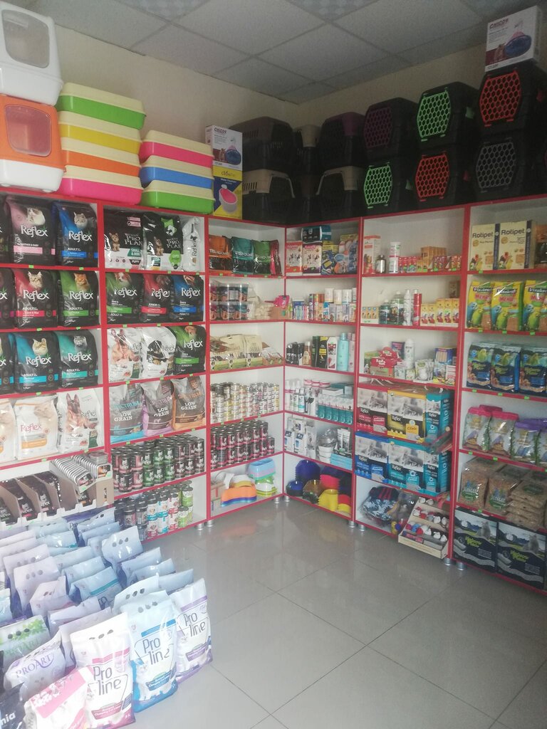 Petshop Yıldız Petshop, Keçiören, foto