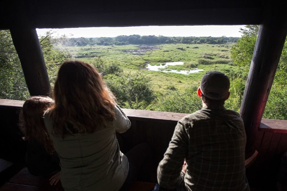 Фото Royal Thonga Safari Lodge