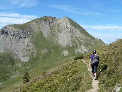 Фото Pension Txiki