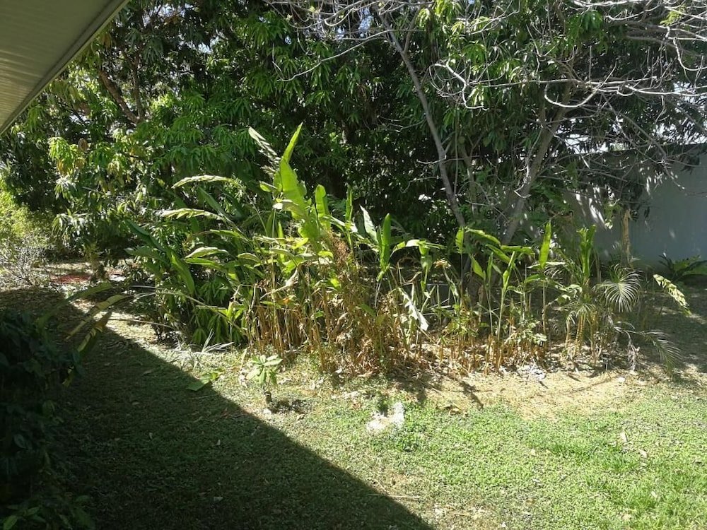 Фото Hotel Nicoya