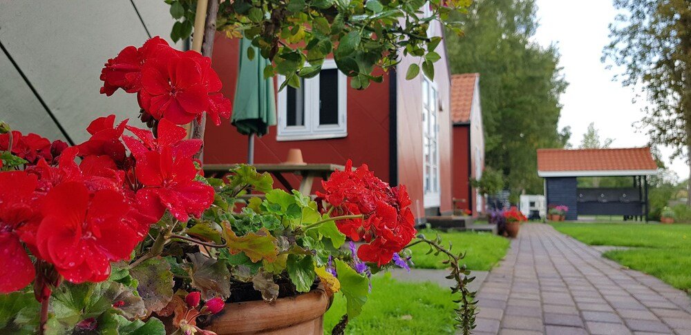 Фото Hotel Lillevang