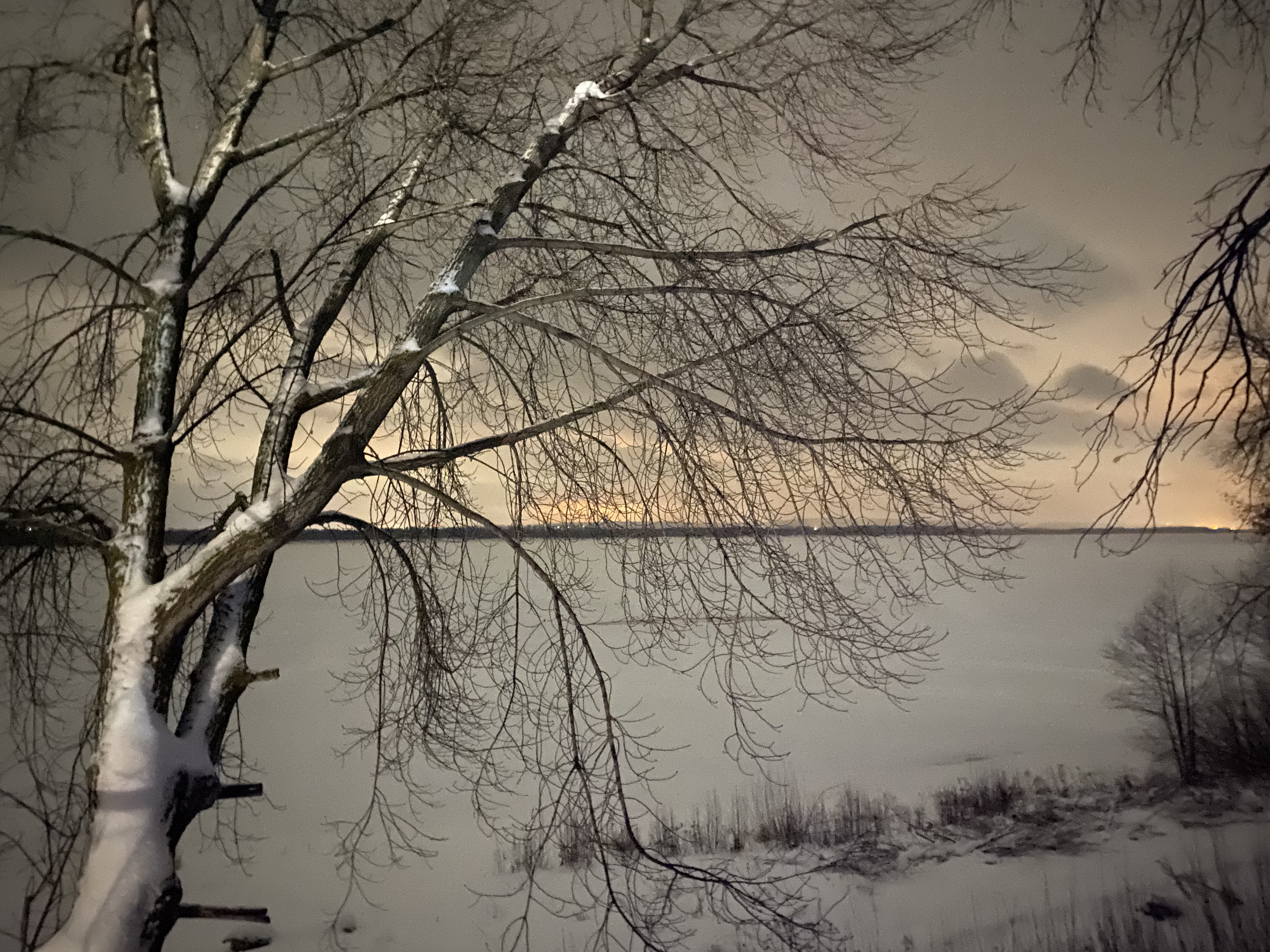 Фото Лукоморие