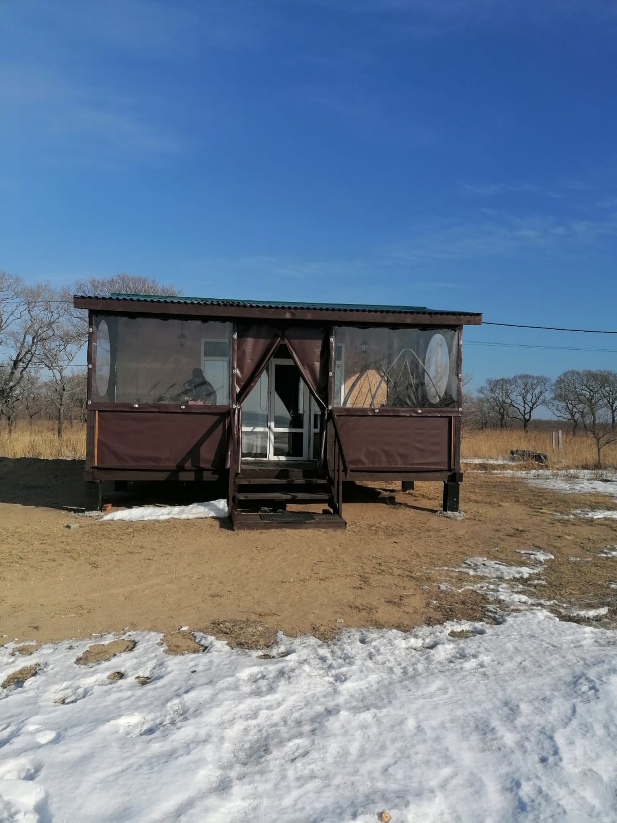 Фото Янтарная