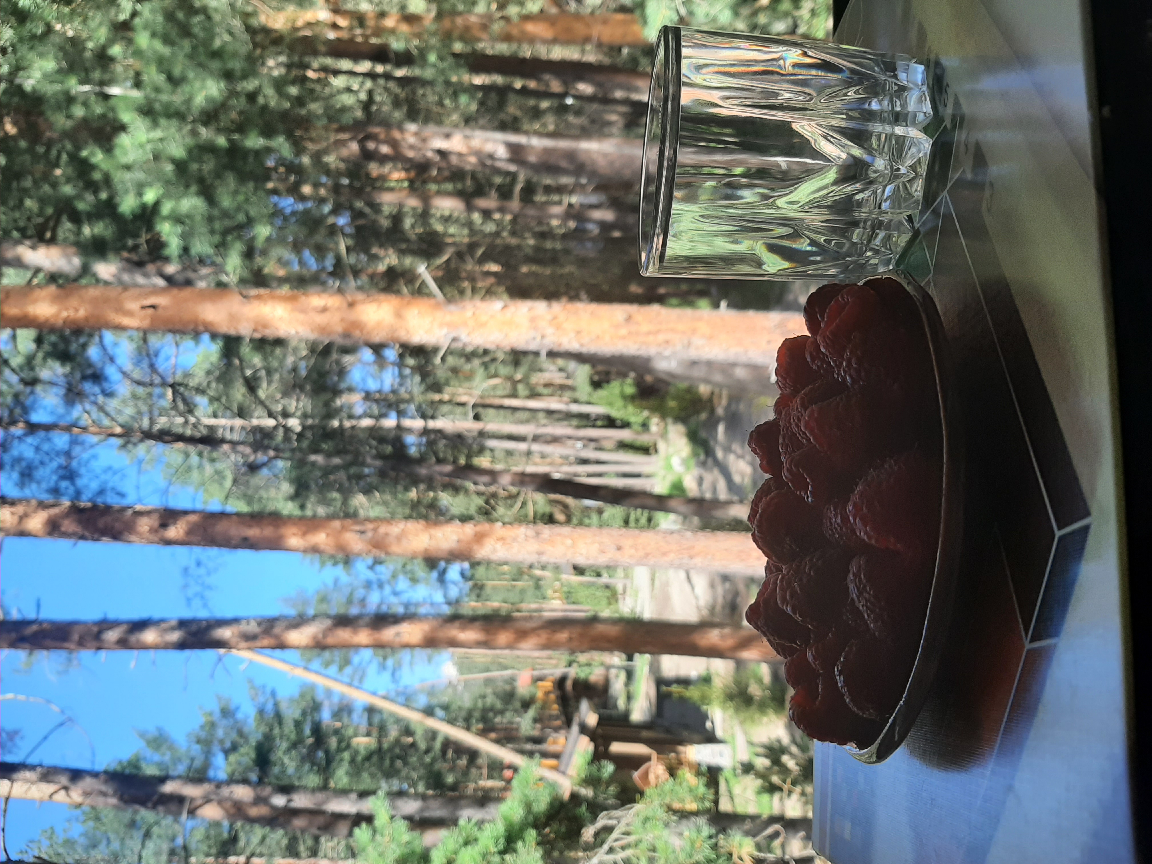 Фото Метелица Эльбрус