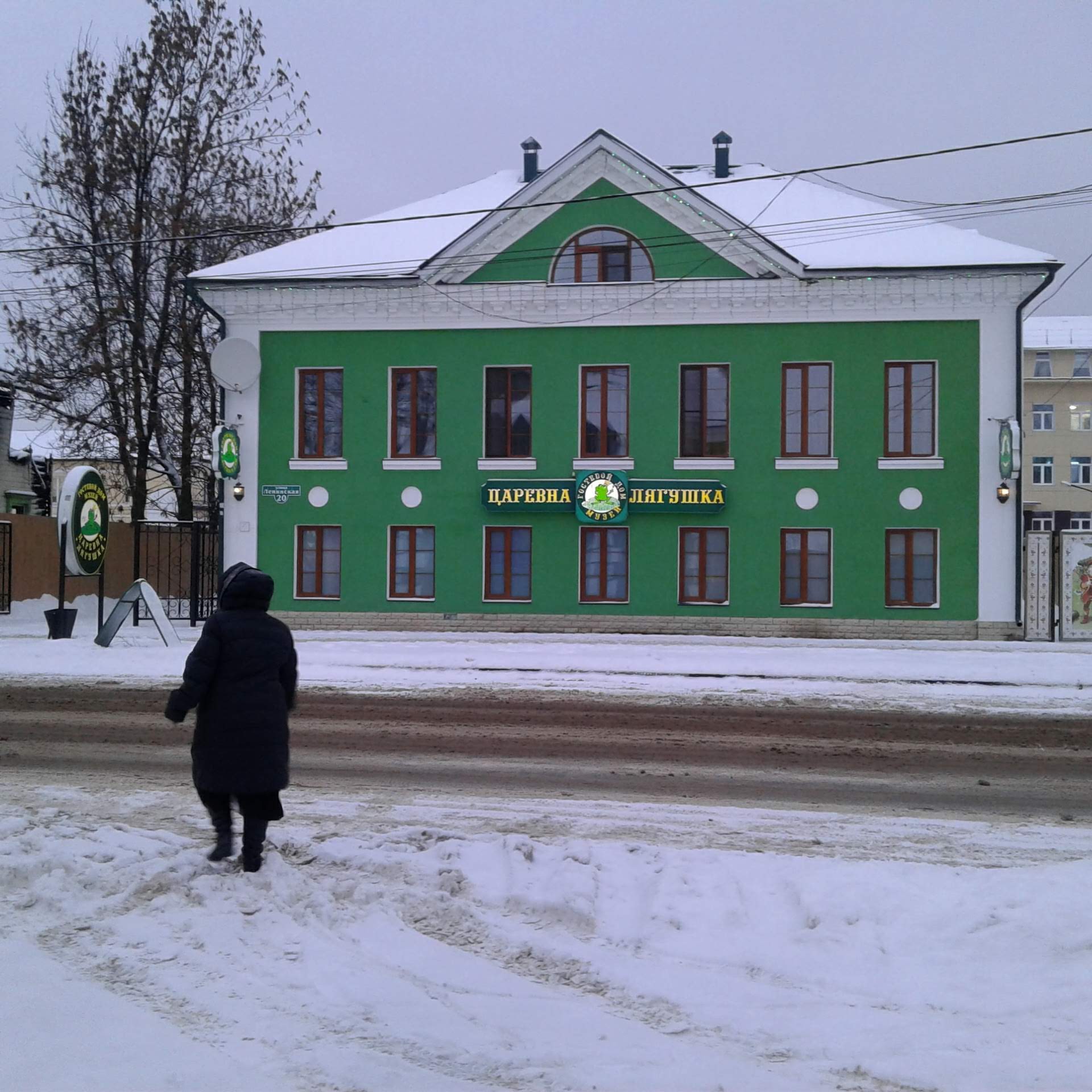 Фото Царевна-лягушка