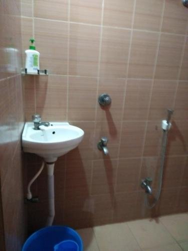 Фото Hotel Krishna
