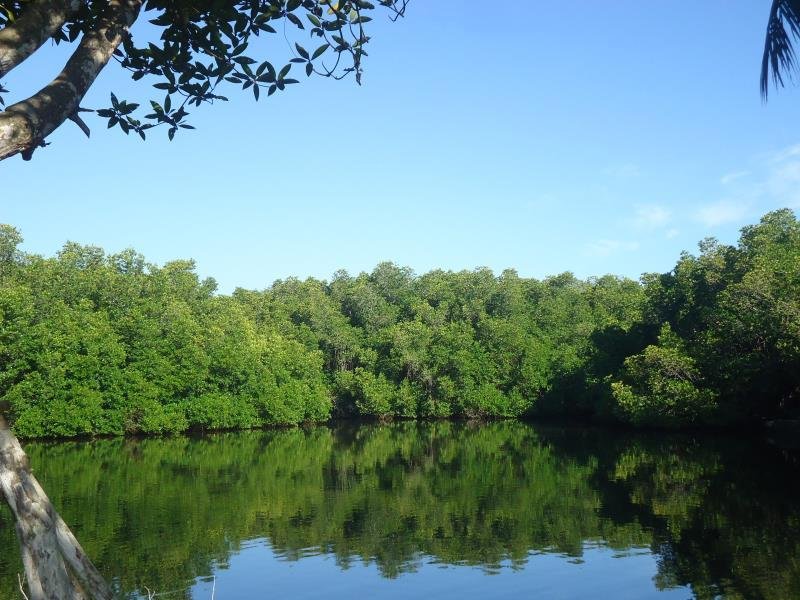 Фото Lagoon Bentota