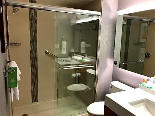 Фото Holiday Inn St. George Conv Ctr, an Ihg Hotel