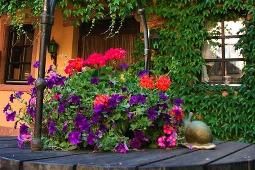 Фото Landhotel Burkartsmühle