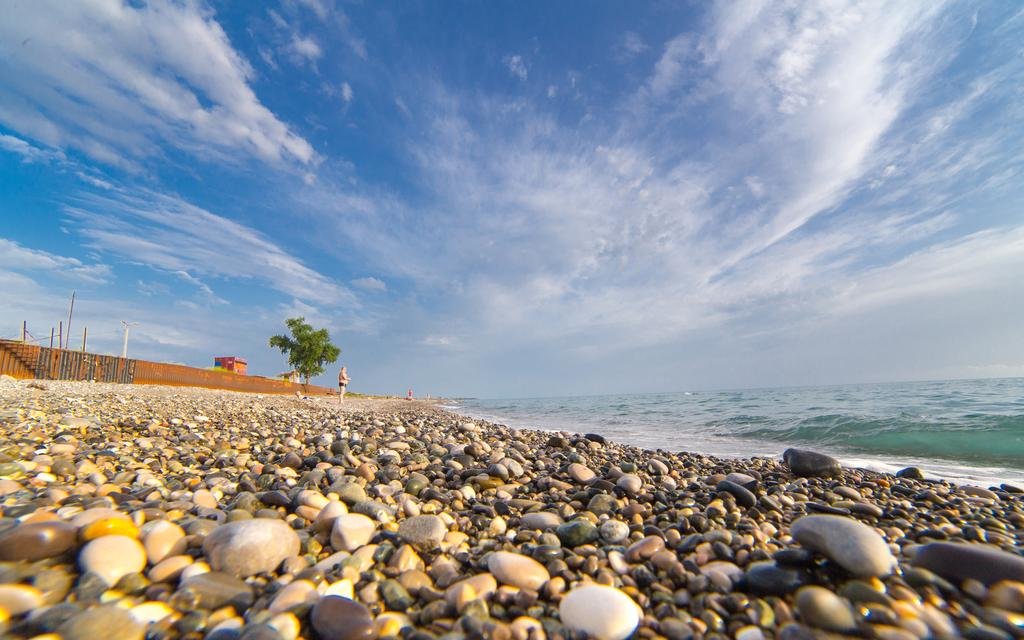 Фото Репруа