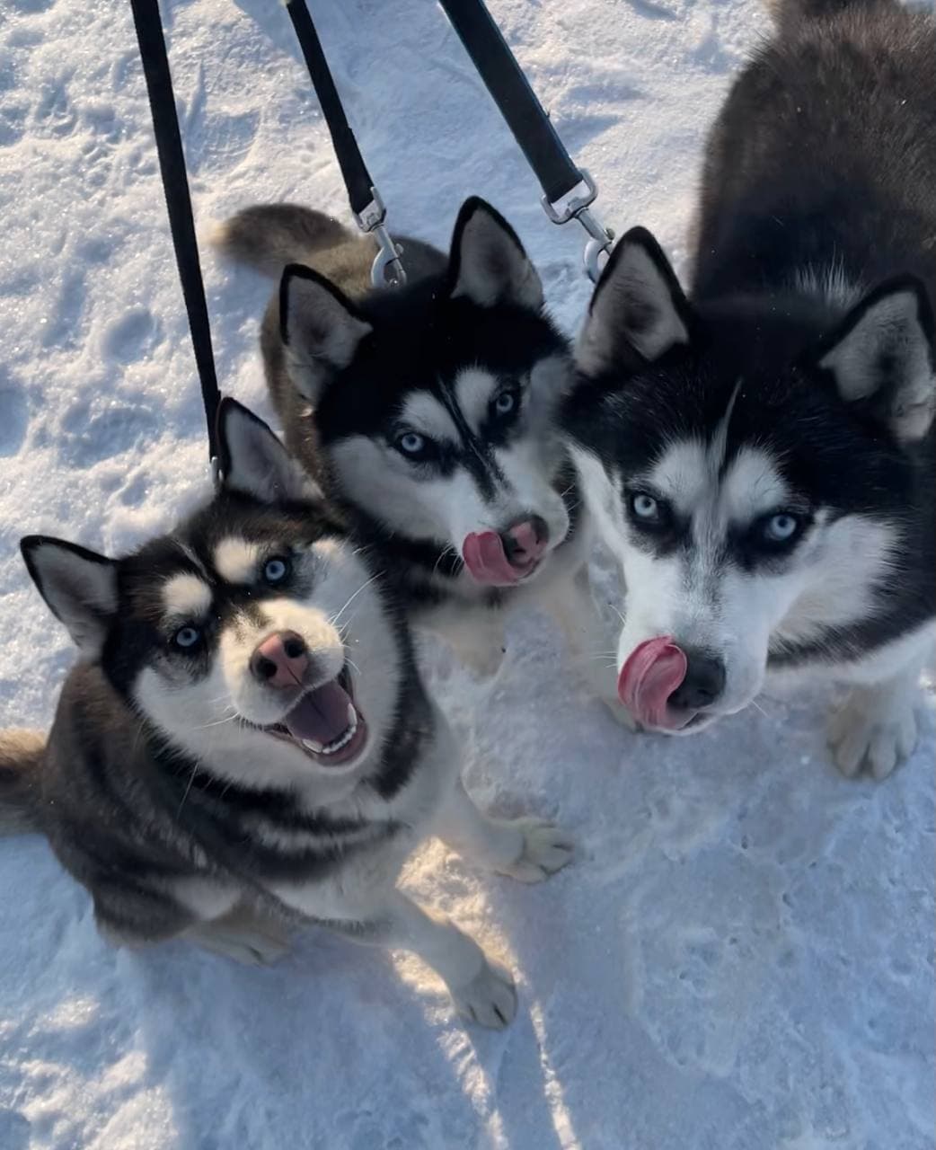 Фото Аляска