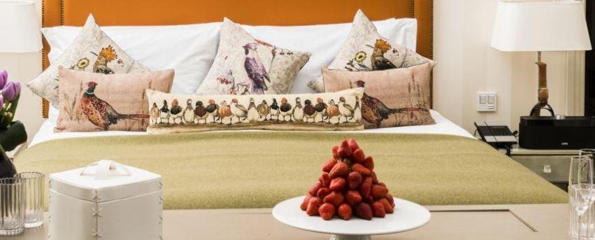 Фото Hotel Xenia