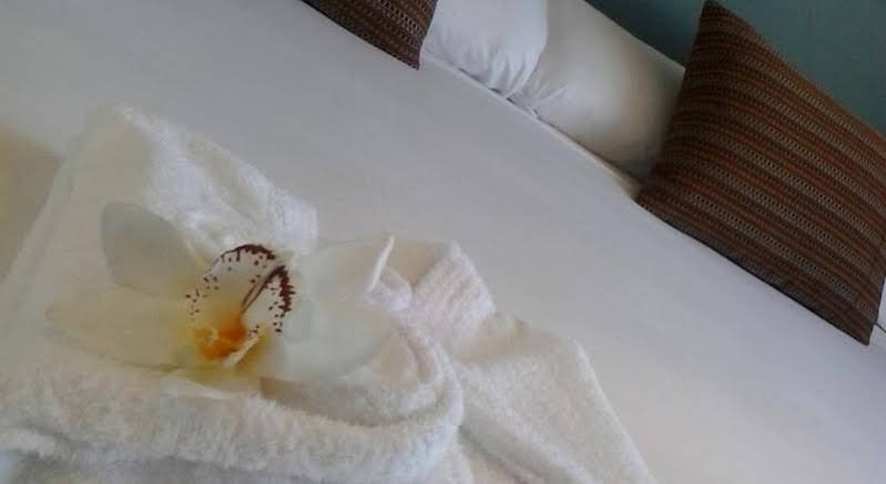 Фото Hotel Pax Guadalajara