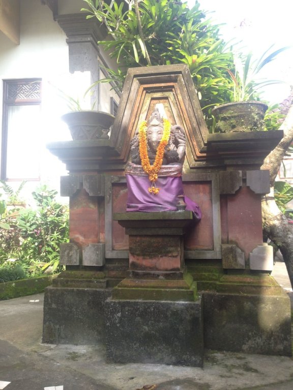 Фото Wina Ubud B&b