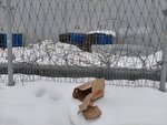 Корпус М1 (rabochiy posyolok Bykovo, Aeroportovskaya ulitsa, 14к19), industrial infrastructure