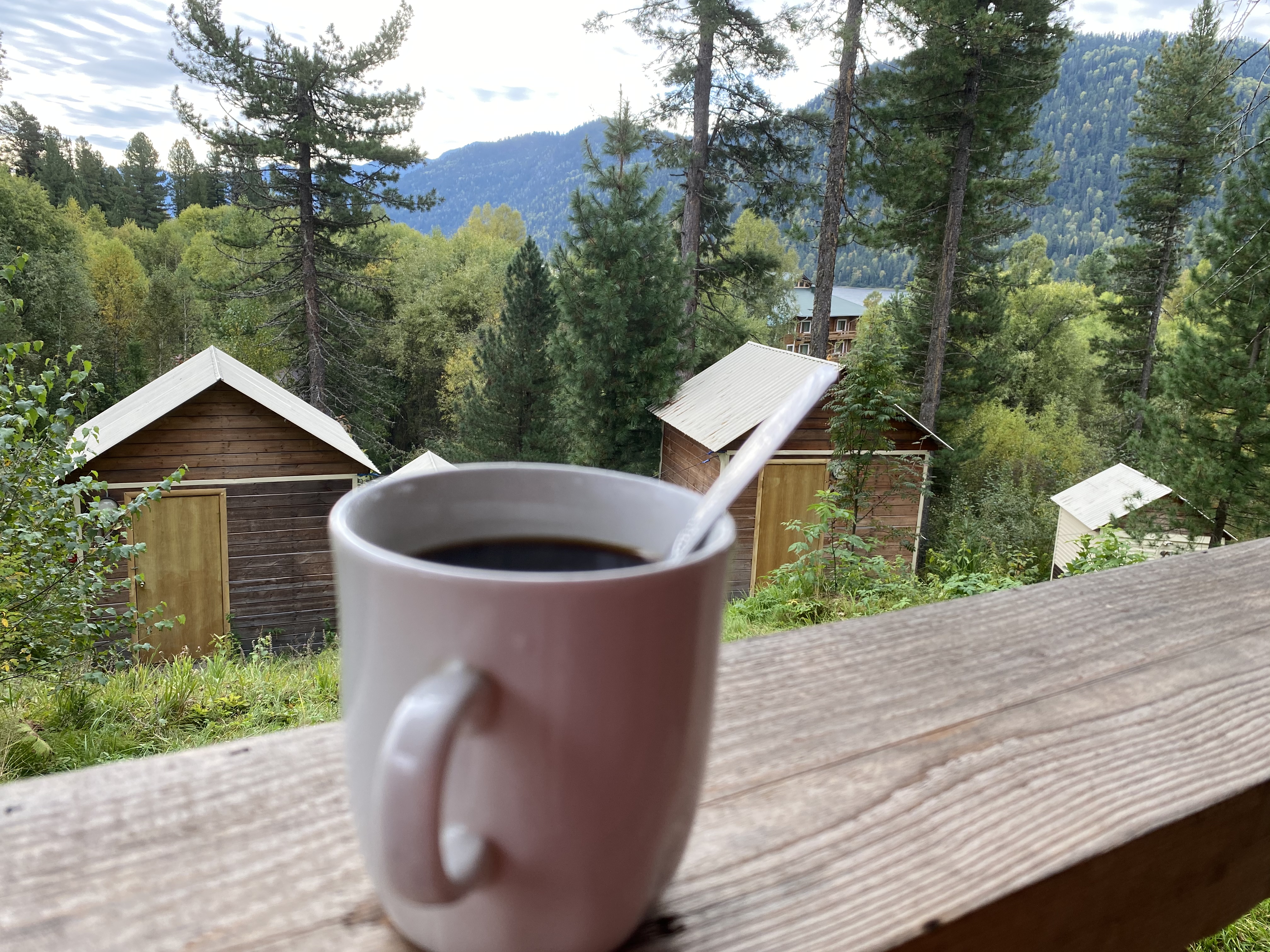 Фото Кедровый берег