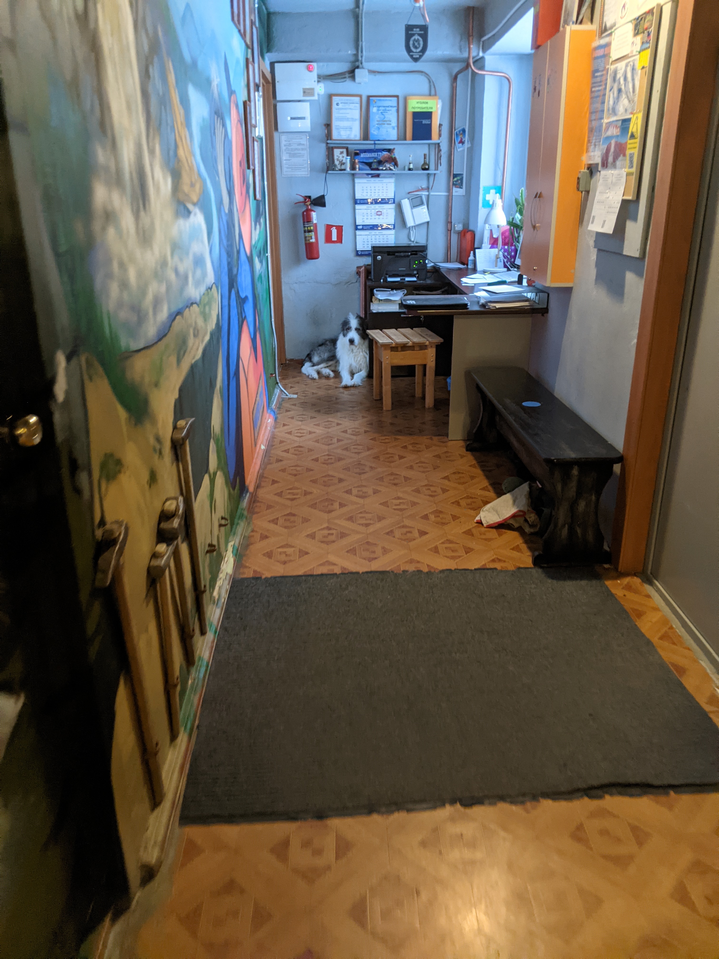 Фото Акка Книбекайзе