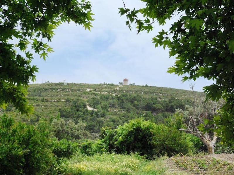 Фото Thomas Hotel