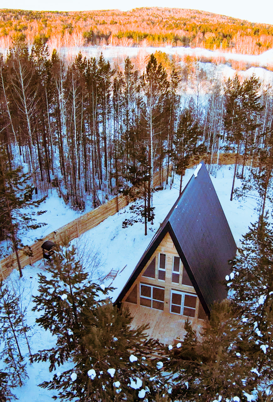 Фото Forest tale