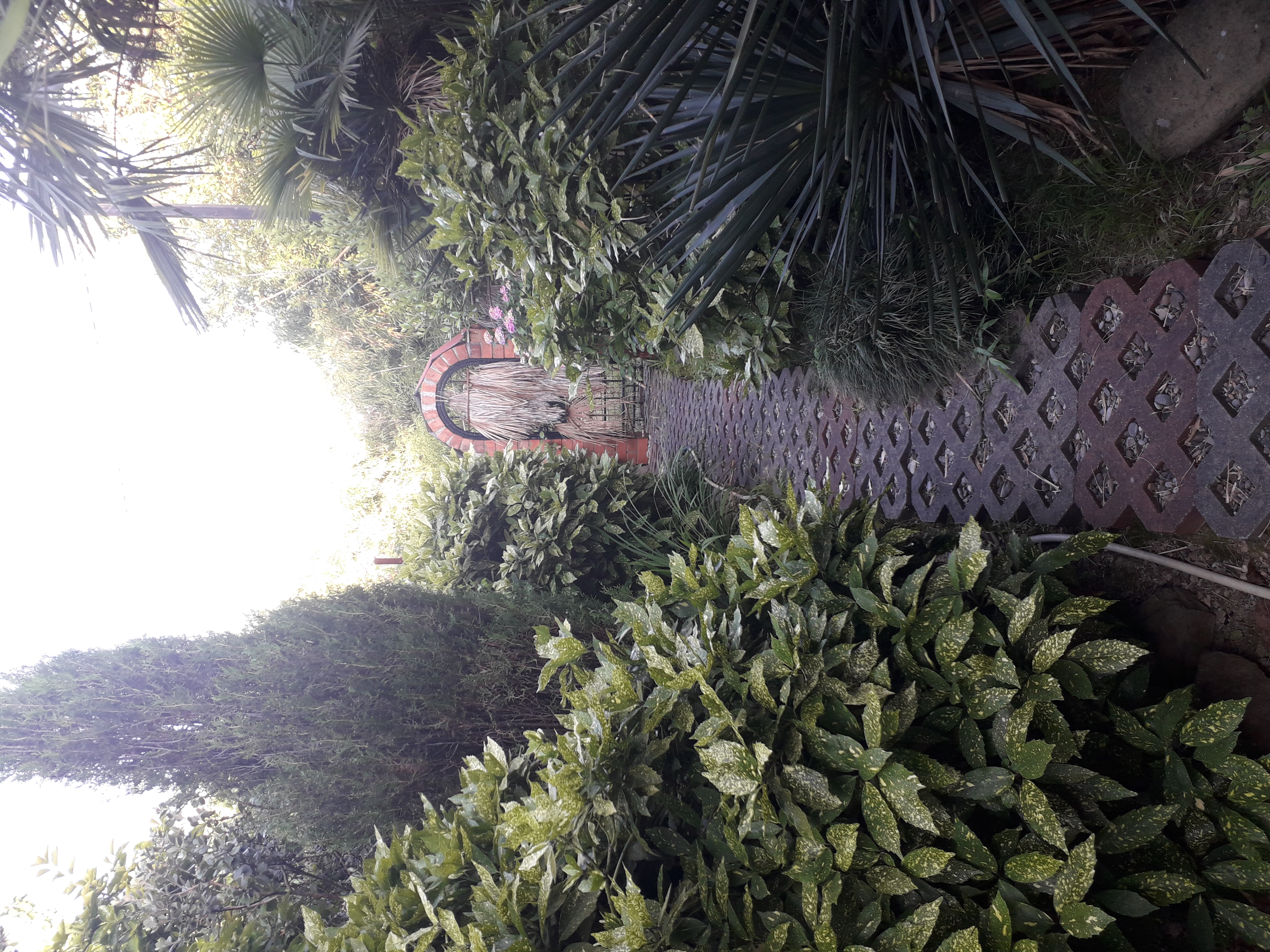 Фото Чемитоквадже Дом у моря