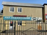Mir podshipnikov (ulitsa Tulayeva, 112А/1), tienda de repuestos y artículos para automóviles