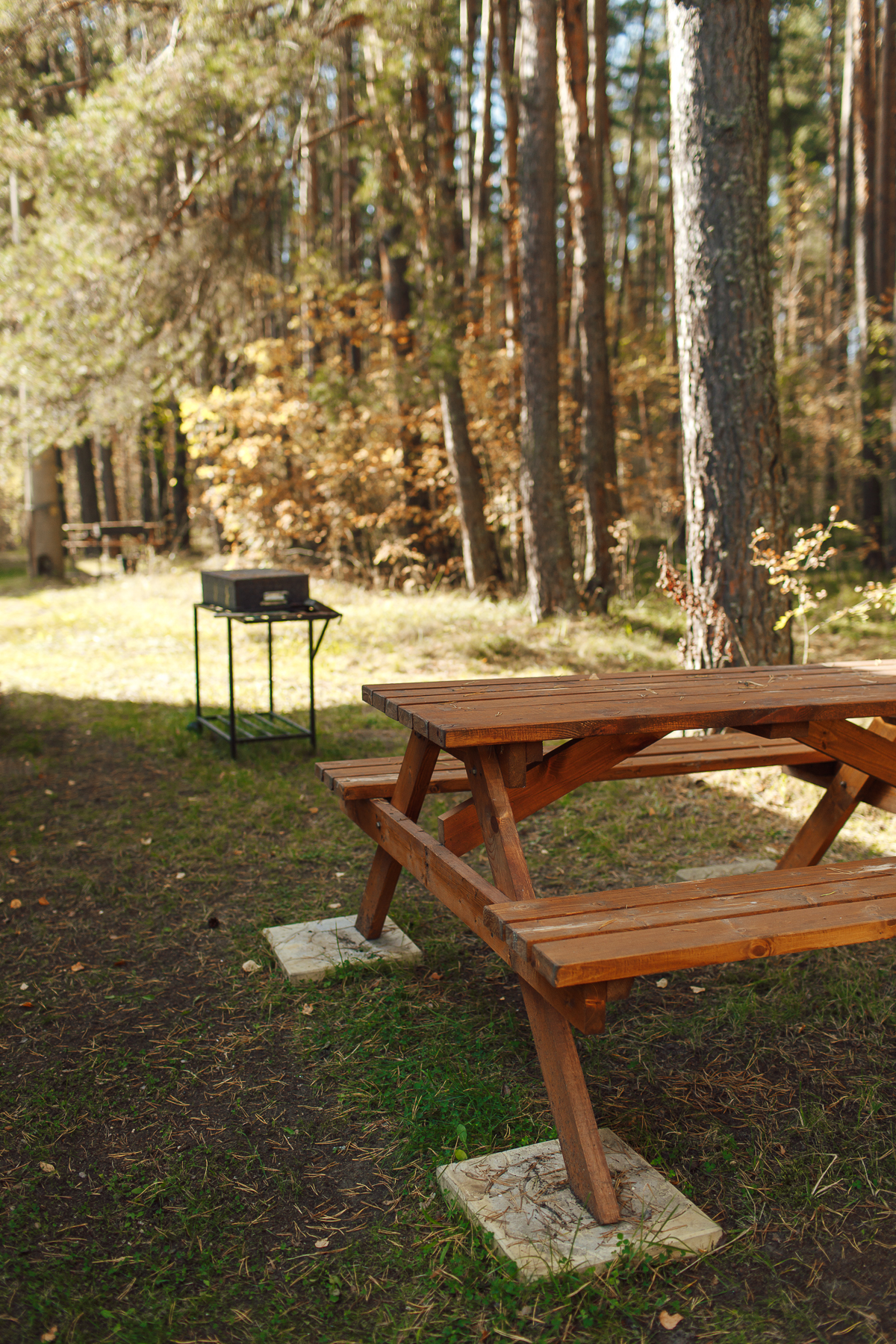 Фото Княжья речка