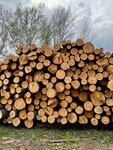 Living Forest (50 Let Oktyabrya Street, 124А/4), productos madereros