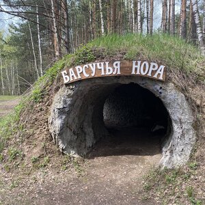 Дендрарий национальный парк лоси


<div class=