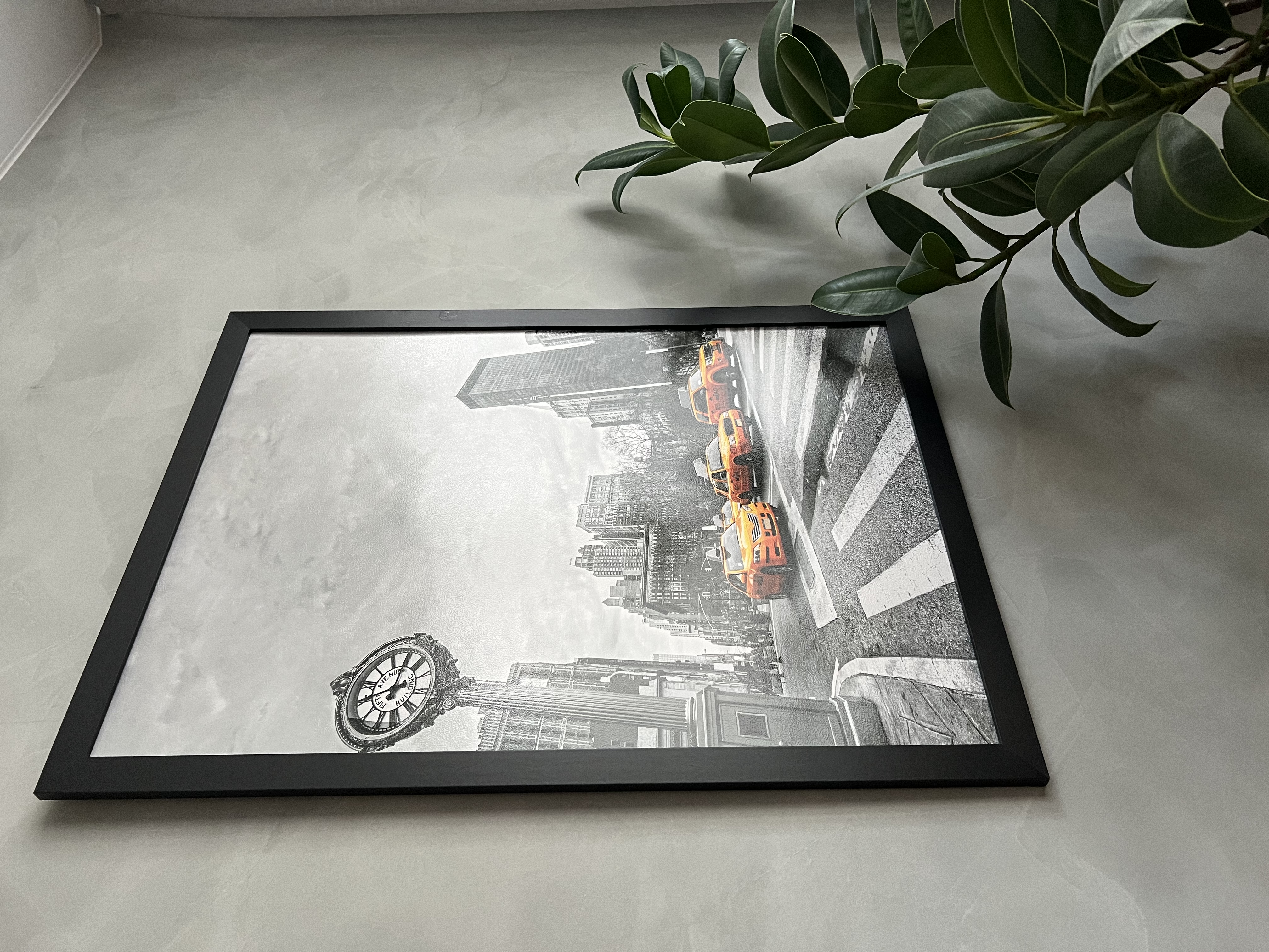 Фото Ле Мон