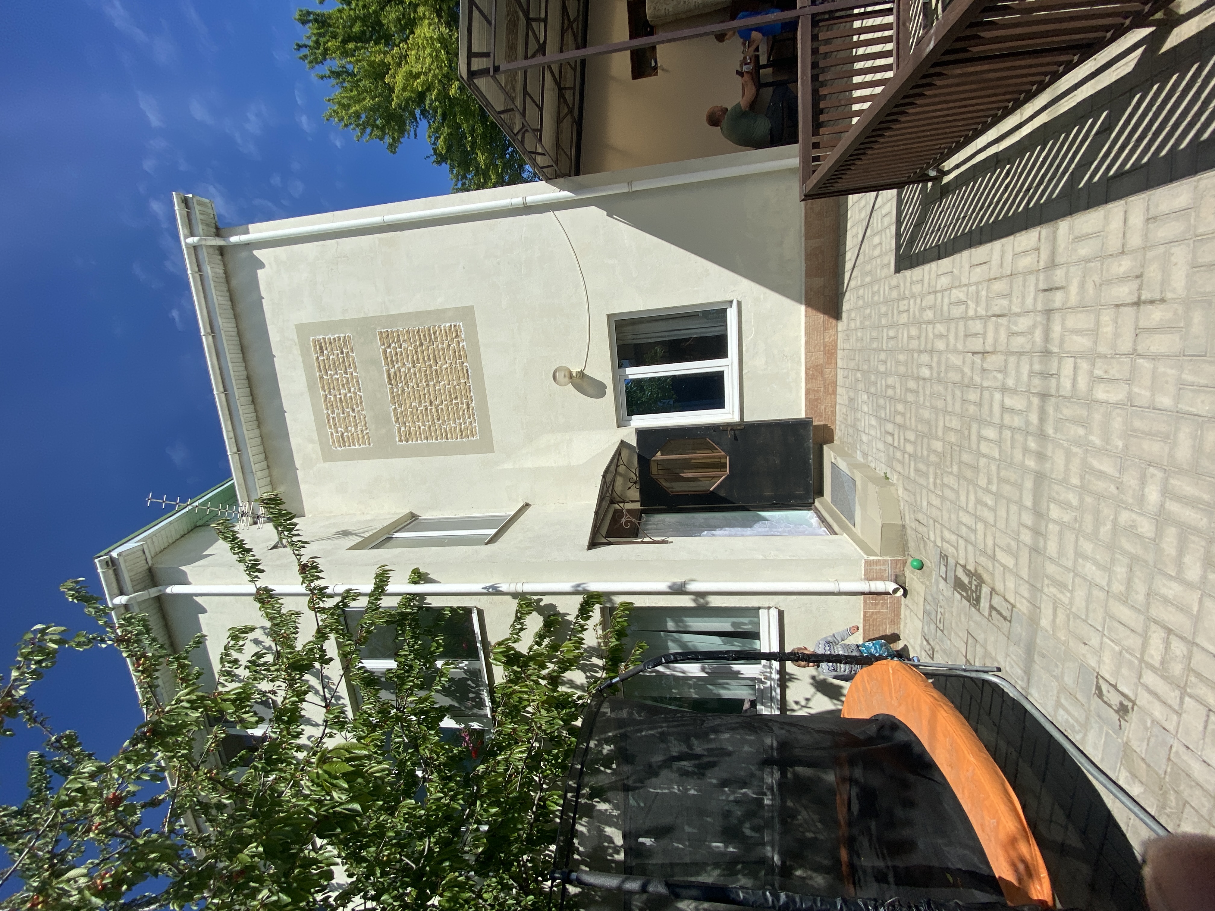 Фото Ромашка