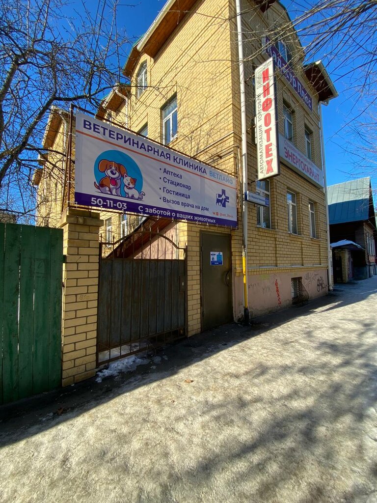 Ветеринарная клиника ВетЛайф, Кострома, фото