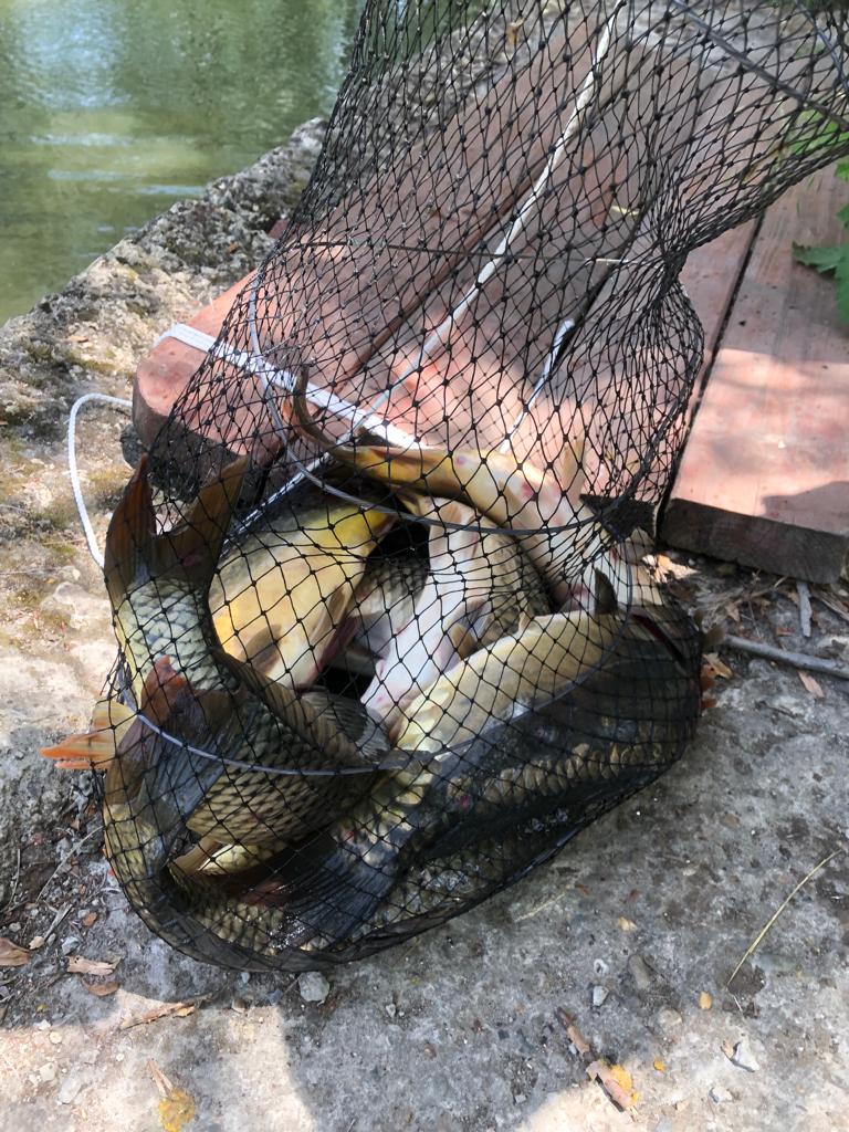 Фото Междуморье