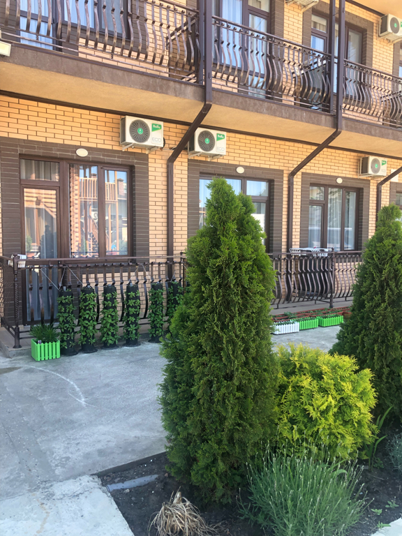 Фото Регата