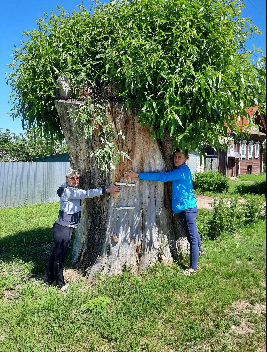 Фото Ласточкин дом