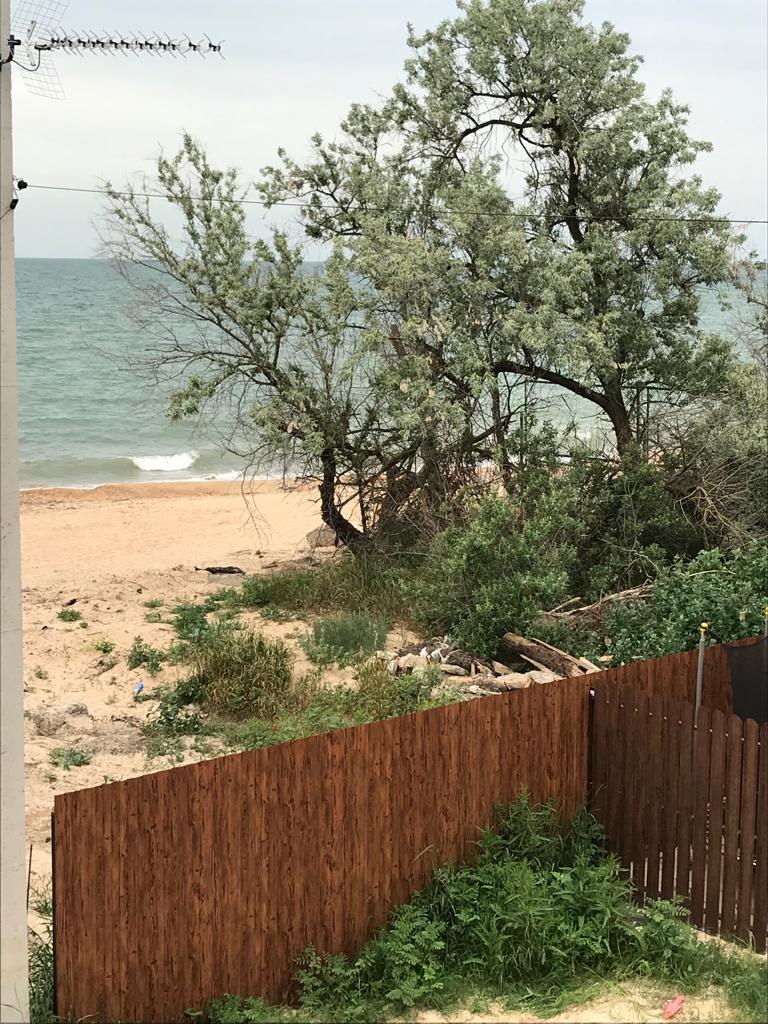 Фото Баунти