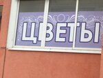 Цветы (Izhorskaya ulitsa, 28), floristeria