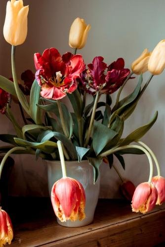 Фото Hotel Limmerhof