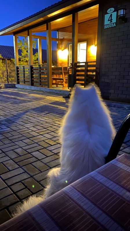 Фото Резиденция 888