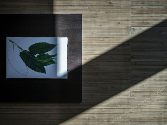 Фото Elizabeth Lifestyle Hotel