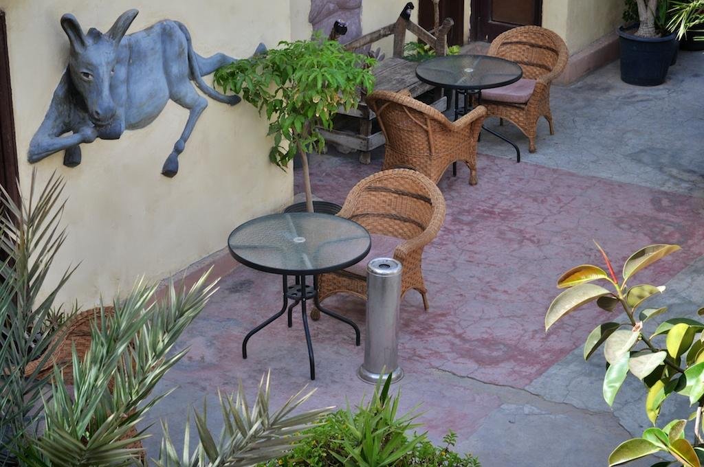 Фото Dahab Hostel