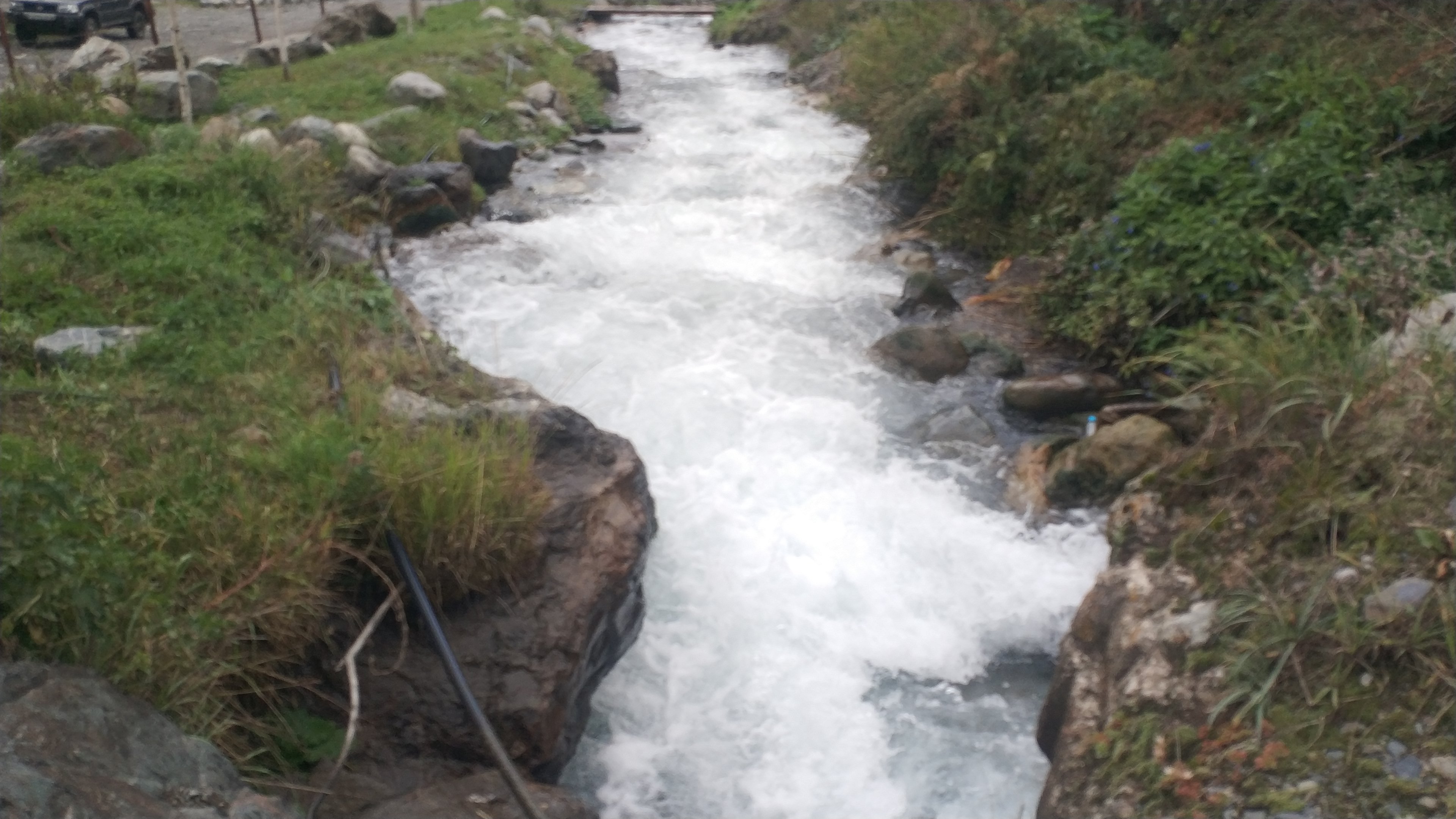 Фото Фруктовый Сад