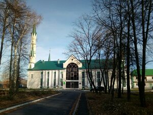 Соборная мечеть Ааль-Мансур (Саранск, ул. Титова, 5/1), мечеть в Саранске