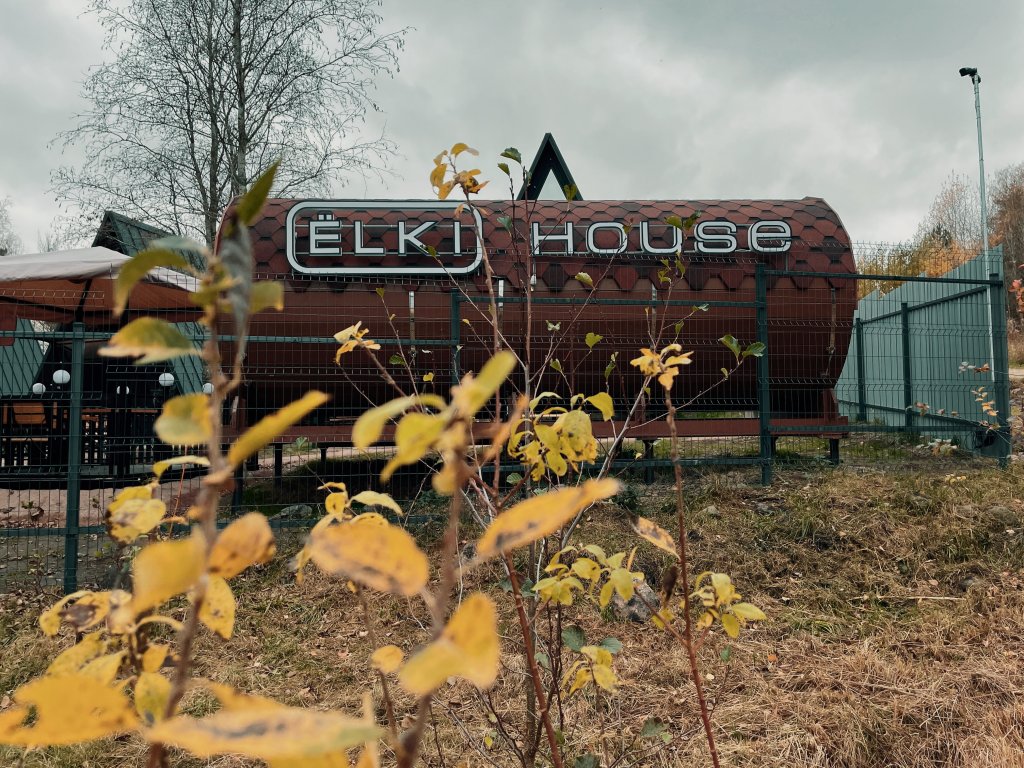 Фото Ёlki в Правдинское озеро