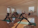 Yoga Family (Saint Petersburg, Kronverkskiy Avenue, 27Б), yoga studio