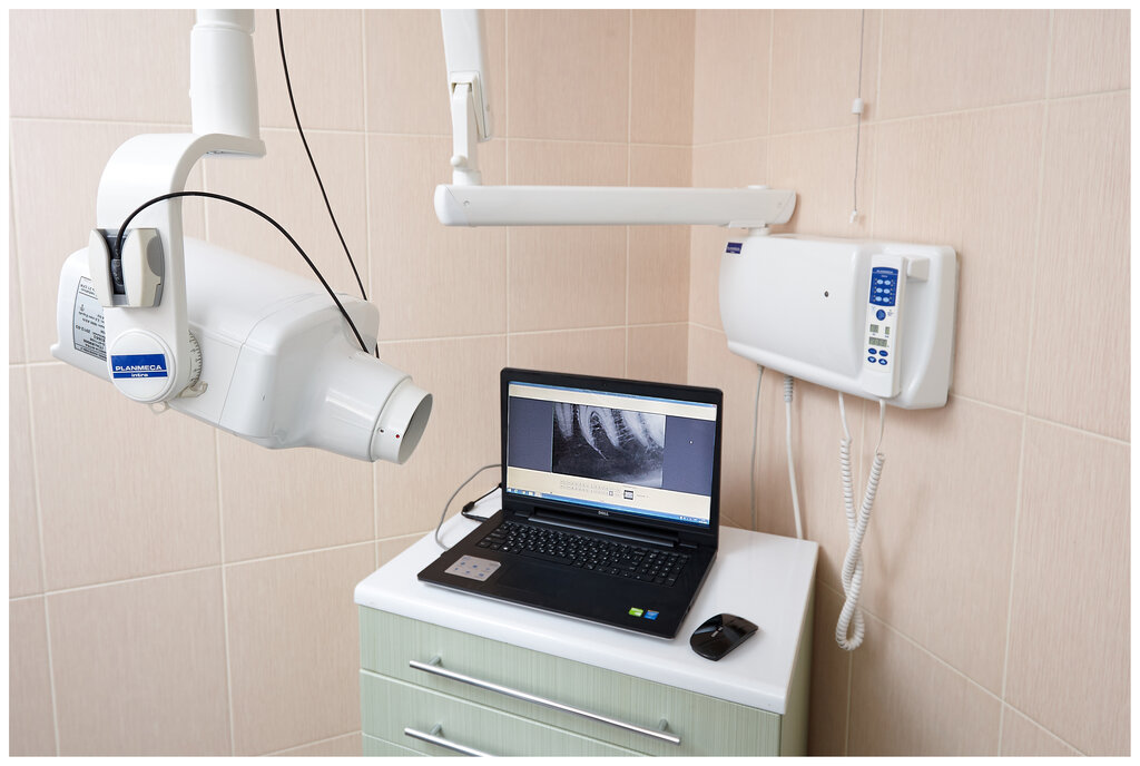 Alma Dent, dental clinic, Симферополь, Екатерининская улица, 48 - Yandex Maps